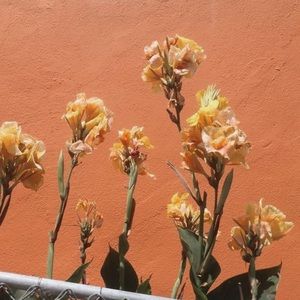 Meet your Posher, Elaina